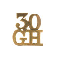 Shoulder title, 30th Lancers (Gordon's Horse), 1903-1922