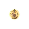 Button, 1st Regiment of Madras Light Cavalry, 1819-1830