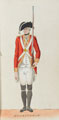 'Buckingham', Buckingham Militia, 1780 (c)