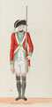 'North Devon', North Devon Militia, 1780 (c)