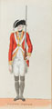 'South Devon', South Devon Militia, 1780 (c)