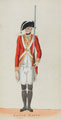 'South Hants', South Hampshire Militia, 1780 (c)