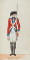 'Westminster Middlesex', Westminster Middlesex Militia, 1780 (c)