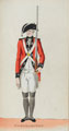 'Northampton', Northampton Militia, 1780 (c)