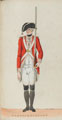 'Northumberland', Northumberland Militia, 1780 (c)