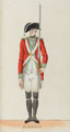 'Warwick', Warwick Militia, 1780 (c)