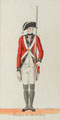 'York, N. Riding Militia', North Riding Militia, 1780 (c)