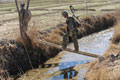 A patrol of soldiers in Helmand Province, Operation HERRICK 13, 2011