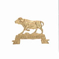 Cap badge, Kenya Regiment, Territorial Force, 1955-1963 (c)