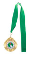 Medallion, Patriotic Union of Kurdistan (PUK), 2017 (c)