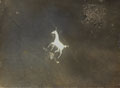 'The "White Horse" near Devizes (Wilts). The figure is cut in the chalk on hill side.', 1918
