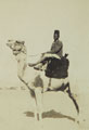 'Sudanese Camel Corps', Egypt, 1932