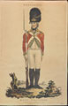 'Grenadier', 'Bank Volunteer', 1799