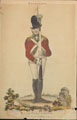 'Battalion', 'Bank Volunteer', 1799