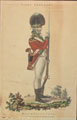 'Light Infantry', 'Bank Volunteer', 1799