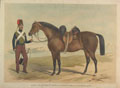 'Private Sealy, E Troop, 11th Hussars, and the Horse he rode at the Balaklava Charge', 1855 (c)