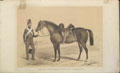 'Private Sealy, E Troop, 11th Hussars, and the Horse he Rode at the Balaclava Charge', 1854 (c)