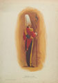 'Gentleman at Arms', 1900