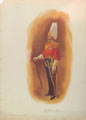 'Gentleman at Arms', 1900