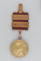 Army Gold Medal for Pyrenees with two clasps: Albuhera, Nivelle