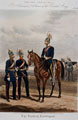 'The Turkish Contingent'