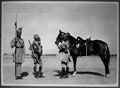 Three dismounted sowars of the 2nd Madras Light Cavalry, 1880 (c)