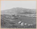 Sorarogha camp in Waziristan, 1920 (c)