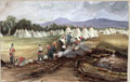 A camp of a Line Infantry Regiment, probably at Chobham, 1853 (c)