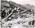 Men of 2nd Battalion The Highland Light Infantry in action near Nahakki, 1935