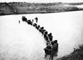 Ox-drawn wagons of the Grenadier Guards crossing a river, 1900 (c)