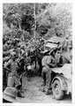A supply convoy, consisting of jeeps and mules, during a halt in the jungle, Burma, 1944 (c)