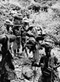 Carriers of No. 2 Auxiliary Group, 5th Brigade (Gold Coast), 1944
