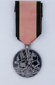 Turkish Crimea Medal 1855, Sardinian issue, Major-General William Fergusson Beatson, the Bashi Bazouks, Crimean War (1854-1856)