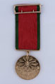 Turkish General Service Medal, 1854 awarded to Lieutenant-Colonel William Fergusson Beatson, Turkish irregular forces, the Bashi Bazouks