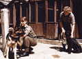 Women's Royal Army Corps, secondedto the Royal Army Veterinary Corps, 1980 (c)
