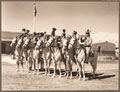 Trumpeters of 4th Duke of Cambridge's Own Hodson's Horse, 1920s (c)