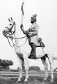 An Indian officer of the 19th Lancers (Fane's Horse) in full dress, 1941 (c)