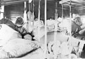 The interior of a hospital train, 1900 (c)