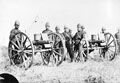 A pair of Gatling guns, 1879