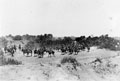 16th (The Queen's) Lancers in South Africa, 1900