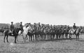 The Hertfordshire Yeomanry at Luton Hoo Camp, 1914 