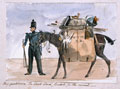 'My packhorse, "the black slave", loaded for the march', 1854 (c)