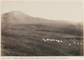 'Laing's Neck and Majuba Mountain with Mount Prospect Camp and Hospital in foreground', 1881