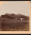 Boer Farm and New Zealand Hill, South Africa, 1900