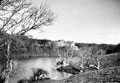 'Stackpole Court from the lake', Pembrokeshire, Wales, 1941