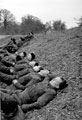 'After lunch nap', 3rd County of London Yeomanry (Sharpshooters), Parham, West Sussex, 1941