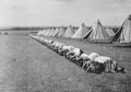 County of London Yeomanry (Sharpshooters) encampment, Popham, Hampshire, 1939