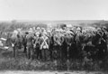 'The First Flap', 3rd County of London Yeomanry (Sharpshooters), 1940 (c)