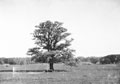 Thoresby Park, Nottinghamshire, 1940