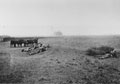 'During the flap', 3rd County of London Yeomanry (Sharpshooters), Saxilby, Lincolnshire, 1940